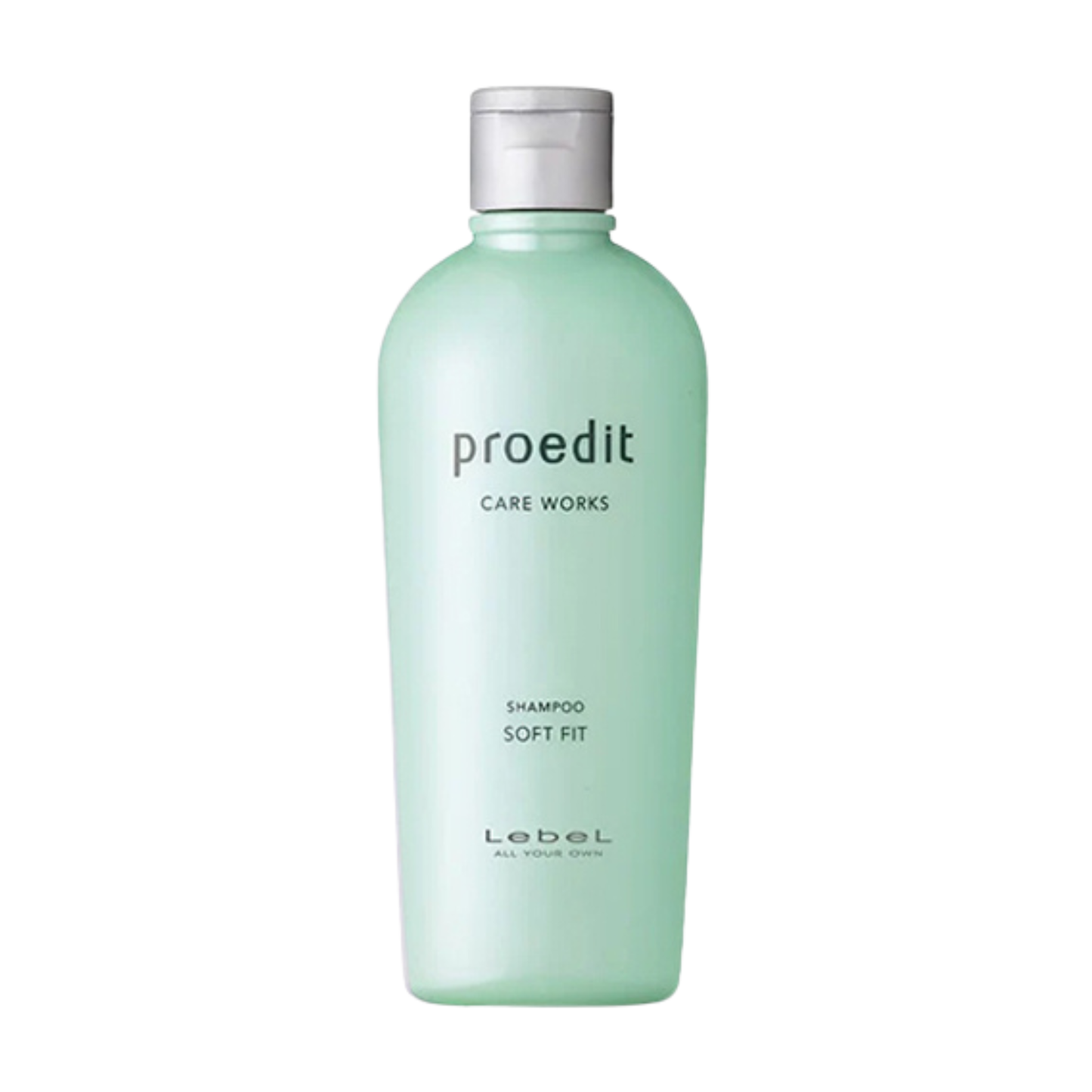 Lebel Proedit Soft Fit Shampoo: Moisturizing Shampoo for Dry Hair - 300 ml / 10.14 oz